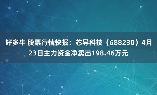 好多牛 股票行情快报：芯导科技（688230）4月23日主力资金净卖出198.46万元