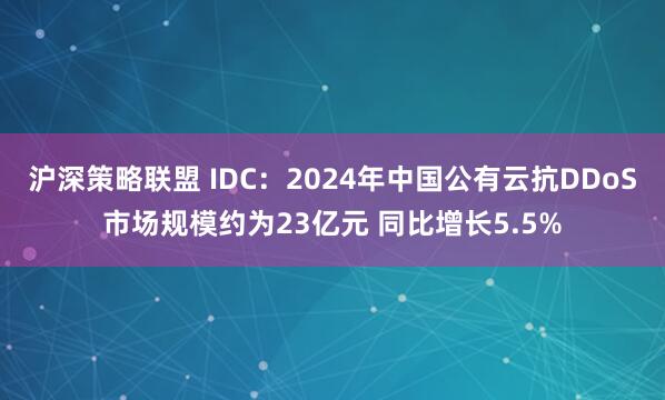 沪深策略联盟 IDC：2024年中国公有云抗DDoS市场规模约为23亿元 同比增长5.5%