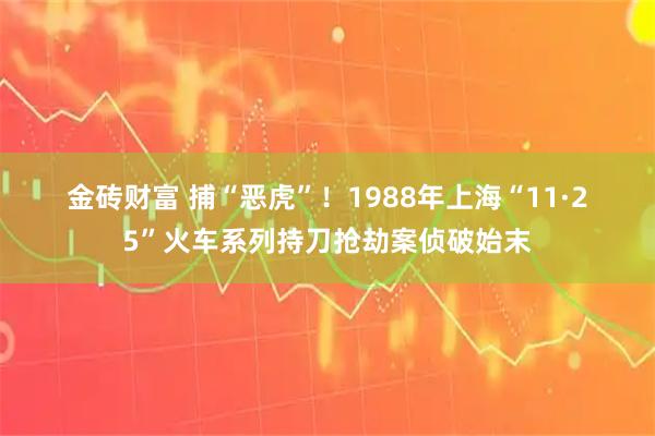 金砖财富 捕“恶虎”！1988年上海“11·25”火车系列持刀抢劫案侦破始末