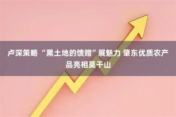 卢深策略 “黑土地的馈赠”展魅力 肇东优质农产品亮相莫干山